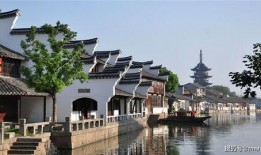 吴江震泽新闻爆料,吴江震泽突发事件，详情揭晓